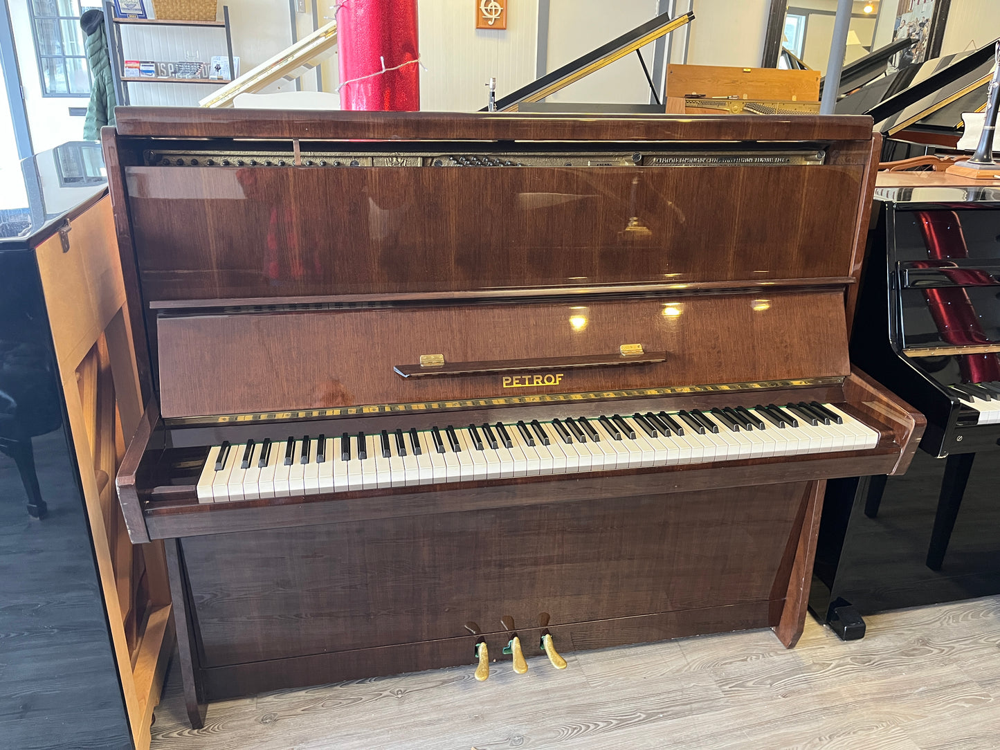Petrof Professional Upright 49" Studio Piano (Polished Walnut Finish)