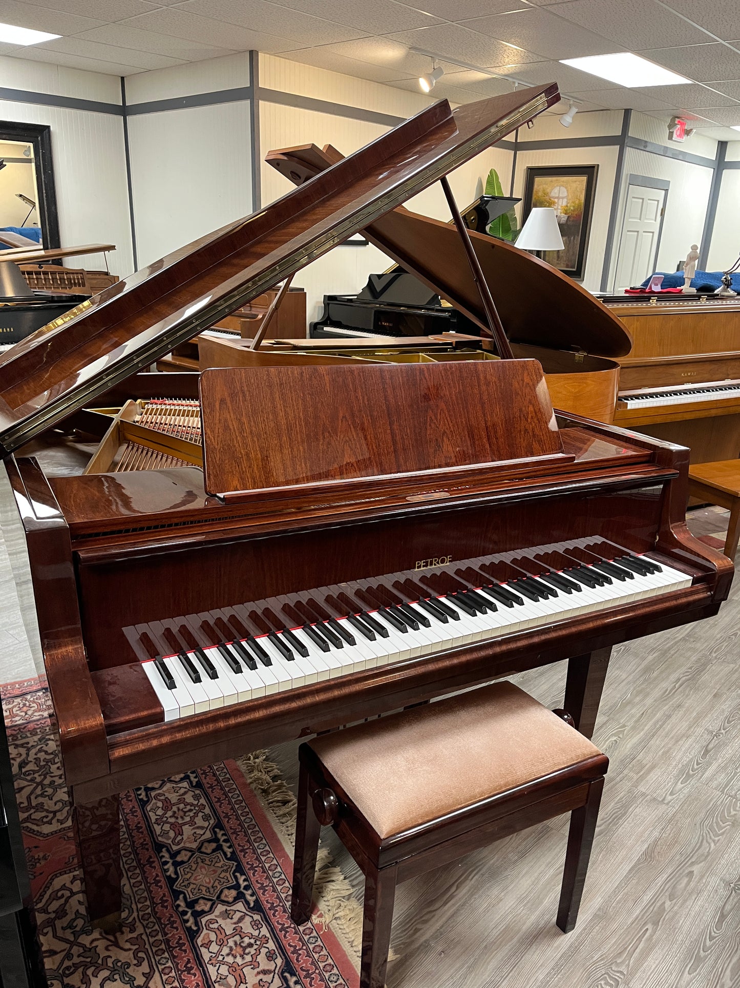 Petrof Model V 5'4” Baby grand (Polished Walnut Finish)