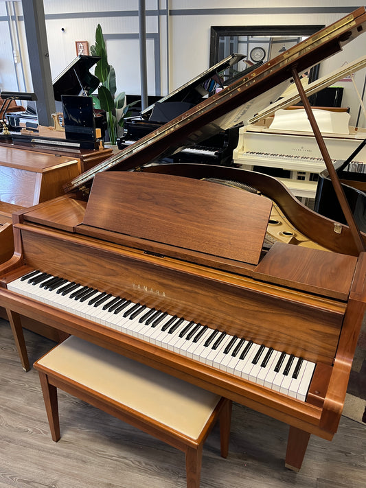 Yamaha Model G1 5'3” Baby Grand (Satin Walnut)